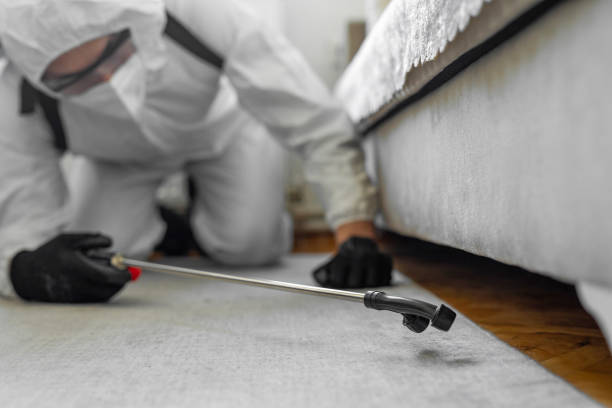 Professional Bed Bug Control technician working in Scaggsville, MD