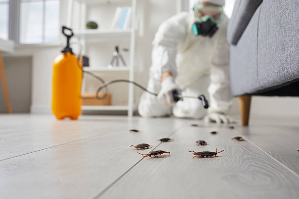 Trusted Termite Control service in Scaggsville, MD - Nex Pest Control