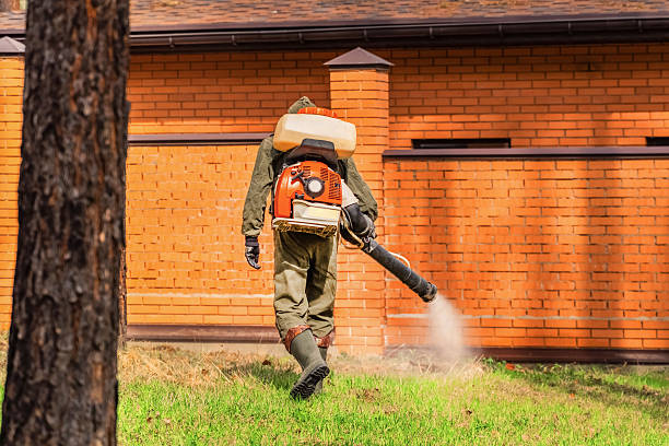 Trusted Bed Bug Control service in Scaggsville, MD - Nex Pest Control
